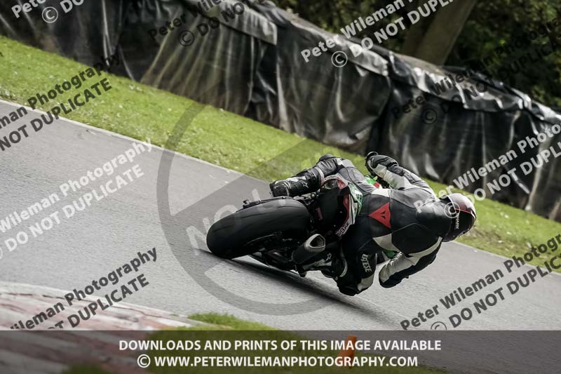 cadwell no limits trackday;cadwell park;cadwell park photographs;cadwell trackday photographs;enduro digital images;event digital images;eventdigitalimages;no limits trackdays;peter wileman photography;racing digital images;snetterton;snetterton no limits trackday;snetterton photographs;snetterton trackday photographs;trackday digital images;trackday photos